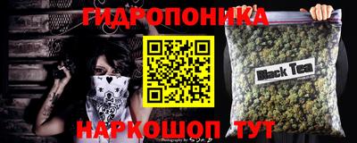хмурый Тара