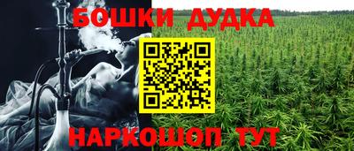 хмурый Тара