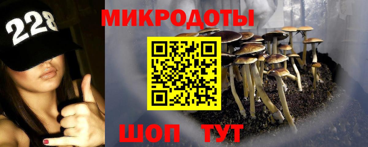 Брянск  купить  сайты  Галлюциногенные грибы Psilocybine cubensis  Вход с VPN  Псилоцибиновые грибы Psilocybe 